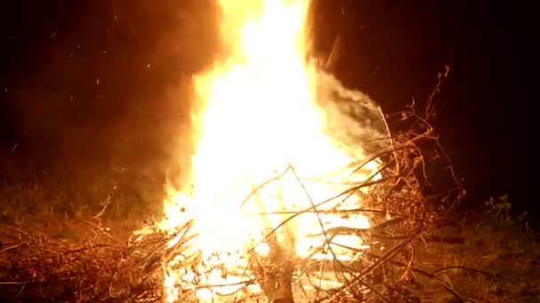 Una gran hoguera hermosa arde en el bosque por la noche, lenguas de llama y chispas vuelan hacia el cielo — Vídeo de stock