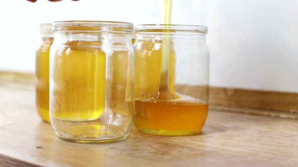 Miel de abeja se vierte en frascos en un día soleado, fondo. Producto curativo y dulce, orgánico — Vídeo de stock