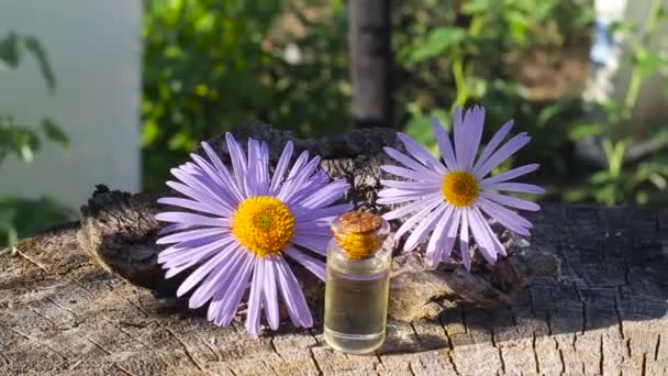 Fles met blauwe kamille etherische olie op een houten ondergrond, aromatherapie — Stockvideo