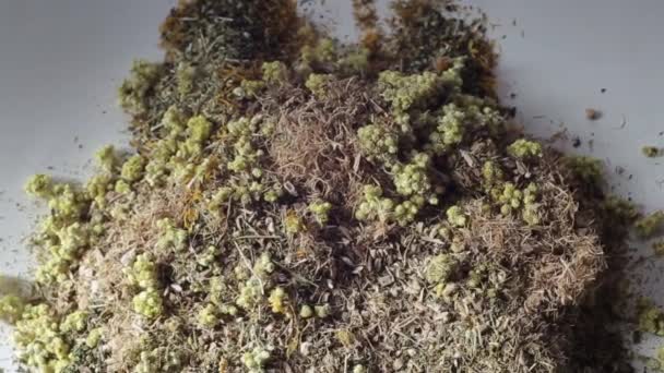 Colección medicinal de hierbas secas. Tratamiento de la medicina tradicional, manzanilla y flores inmortelle, fondo — Vídeo de stock