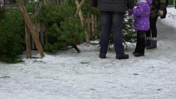 Mercato del bazar della città in vendita e acquisto di alberi di Natale per il nuovo anno. Abete vivo naturale nel centro della città. Feste e celebrazioni — Video Stock