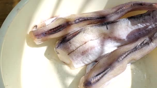 Pesce merluzzo tritato si trova in un piatto su cui il sole splende, luminoso — Video Stock