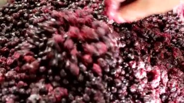 Bir kaşık yaban mersini reçeli ile karıştır. Yabanmersininden reçel yapmak, reçel