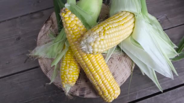 Natural corn on a wooden background. Organic Vegetables Concept, close-up — Stock Video