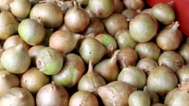 Sarı soğanların arka planı. Yemek pişirmek için sağlıklı sebze, metin için kopyalama alanı