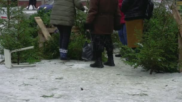 Mercado de bazar de cidade para venda e compra de árvores de Natal para o Ano Novo. Abeto vivo natural no centro da cidade. Feriados e celebrações — Vídeo de Stock