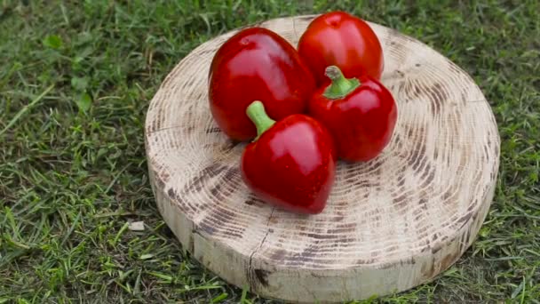 Pimiento rojo dulce sobre fondo de madera, primer plano. Verduras sanas, vegetarianas — Vídeo de stock