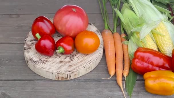 Свіжі та натуральні овочі з овочевого саду на дерев'яному столі. Червоний перець і помідори, кукурудза і буряк, фон. врожаю — стокове відео