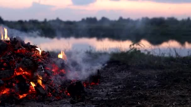 Fuoco ardente in natura sullo sfondo del fiume. Campeggio, turismo, relax — Video Stock