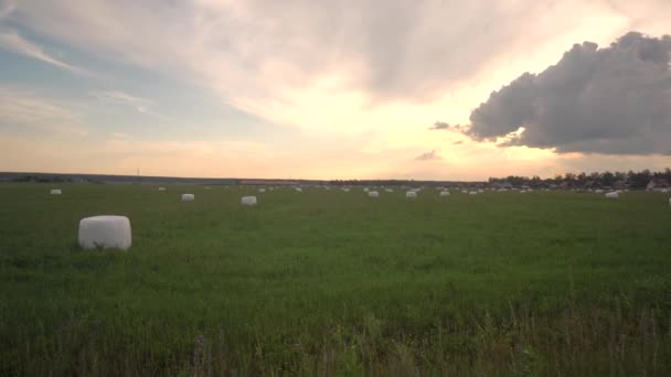 在夕阳西下的田野背景上堆满了干草。耕作和耕作概念，文本复制空间，季节 — 图库视频影像