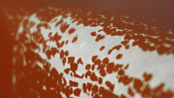 Textura de couro danificada nos estofos do sofá e móveis. Restauração e reparação, couro vermelho, fundo, material — Vídeo de Stock
