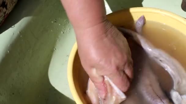 Frau schneidet Seelachs zum Kochen und Braten, Nahaufnahme, Sonne — Stockvideo