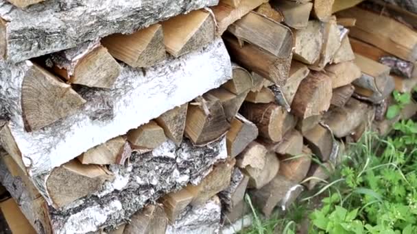 Neatly stacked birch firewood, background — Stock Video