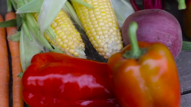 Legumes frescos e naturais da horta em uma mesa de madeira. Pimentas vermelhas e tomates, milho e beterraba, fundo. Colheita — Vídeo de Stock