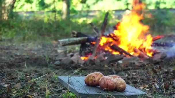 Un hombre envuelve papas en papel de aluminio para hornear carbón en una fogata en un picnic en el bosque. — Vídeo de stock