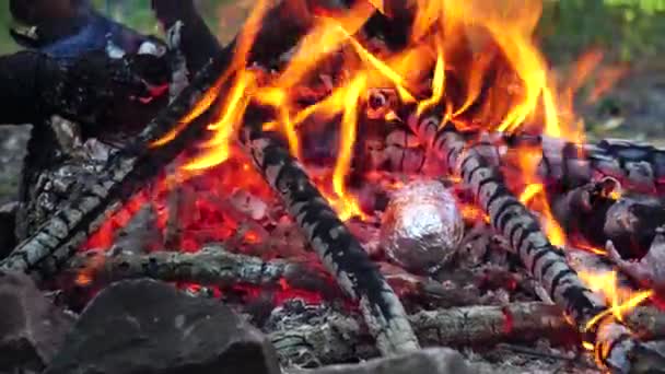 Бросать картошку в огонь фольгой. Готовить запеченный картофель на древесном угле в природе, традиционное блюдо — стоковое видео