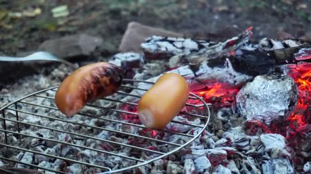 Klobásy na grilu z dřevěného uhlí. Piknikový koncert v lese, příprava jídla v přírodě, detailní záběr — Stock video