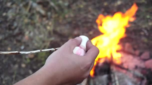 森の中で火の上でマシュマロを焙煎する。伝統的な料理、おいしい甘さ、クローズアップ — ストック動画
