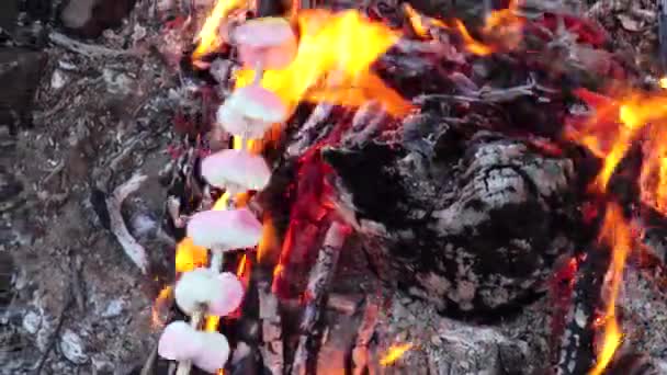 森の中で火の上でマシュマロを焙煎する。伝統的な料理、おいしい甘さ、クローズアップ — ストック動画