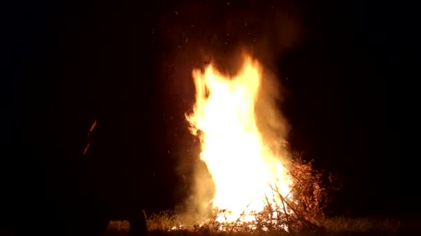 Les gens s'assoient et regardent un grand feu dans la forêt. Loisirs et tourisme concept, contexte — Video