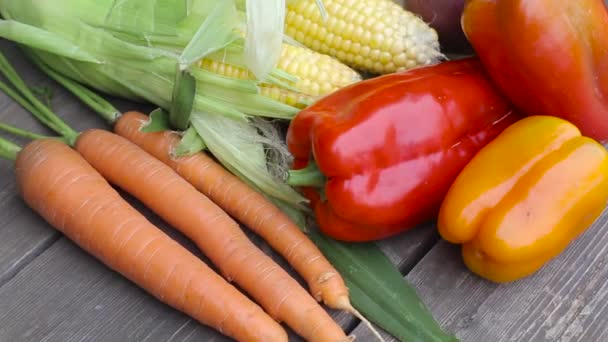 Colheita de outono de uma horta em uma mesa de madeira. Tomates vegetais, cenouras e pimentas, vitaminas naturais. — Vídeo de Stock