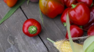 Tahta bir masadaki sebze bahçesinden sonbahar hasadı. Sebze, domates, havuç, biber, doğal vitaminler..
