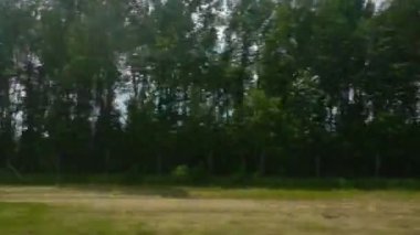 Yazın tarla ve orman boyunca yol boyunca hareket halindeki arabanın yan camından bakın. Turizm ve seyahat, seyahat konsepti. Güzel doğa ve manzara. Köprünün altından otomatik geçiş