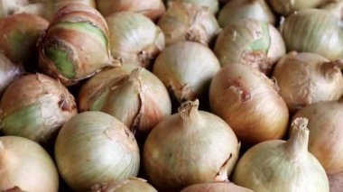 Sarı soğanların arka planı. Yemek pişirmek için sağlıklı sebze, metin için kopyalama alanı