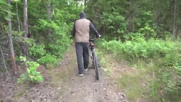 Ένας άντρας κυλάει ένα ποδήλατο κατά μήκος ενός δασικού δρόμου. Τουρισμός και ποδηλασία ταξιδιωτική έννοια, χόμπι και αναψυχή, τοπίο — Αρχείο Βίντεο