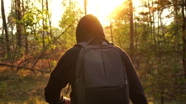 Kapüşonlu bir adam sırtında sırt çantasıyla ormanda yürür. Parlak akşam güneşinin arka planında, gün batımında. Ormanda hayatta kalma ve dinlenme kavramı doğada, turizmde, yavaş çekimde — Stok video