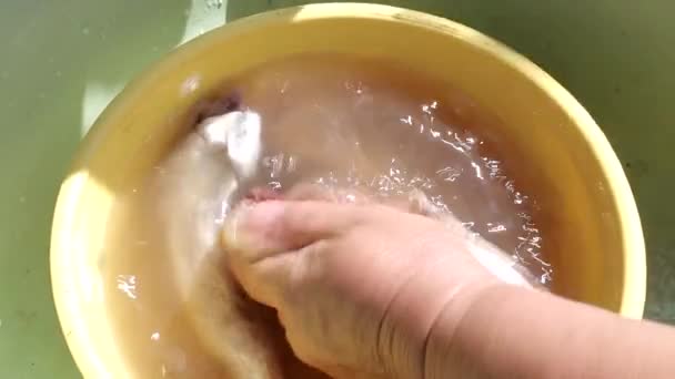 Donna che taglia merluzzo marino per cucinare e friggere, primo piano, sole — Video Stock