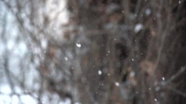 Büyük kar yağışı ile kış görünümü