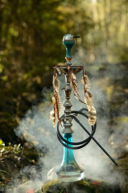 Nargile vahşi sonbahar ormandaki duman ayakta