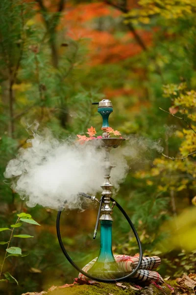 Vattenpipa i rök stående i vild höst skog — Stockfoto