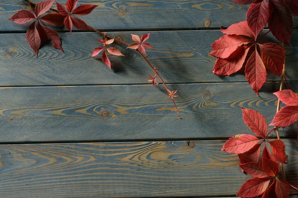 Drewniane tło z czerwonymi liśćmi jesieni — Zdjęcie stockowe