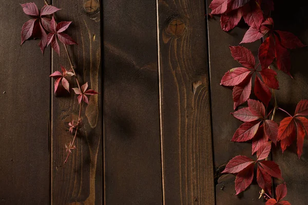 Fond en bois avec feuilles d'automne rouge — Photo