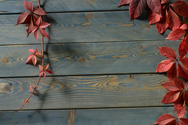 Wooden background with red autumn leafs — Stock Photo, Image