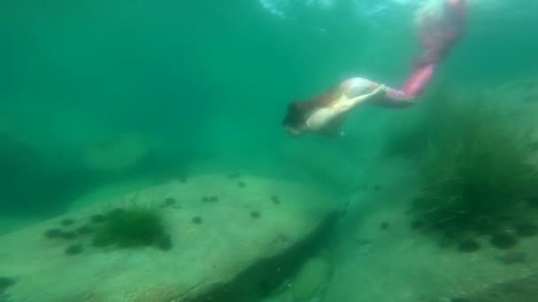 海でのマーメイドダイビング — ストック動画