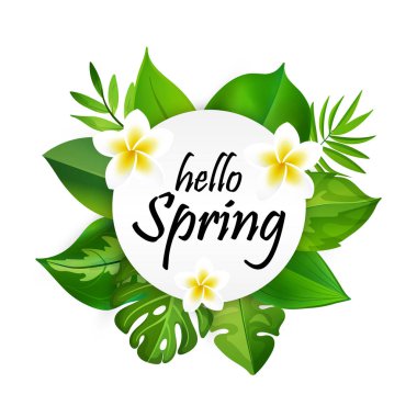 Merhaba Bahar tebrik kartı 3d tropikal palmiye yaprakları ve beyaz bacground izole frangipani çiçeklerle.