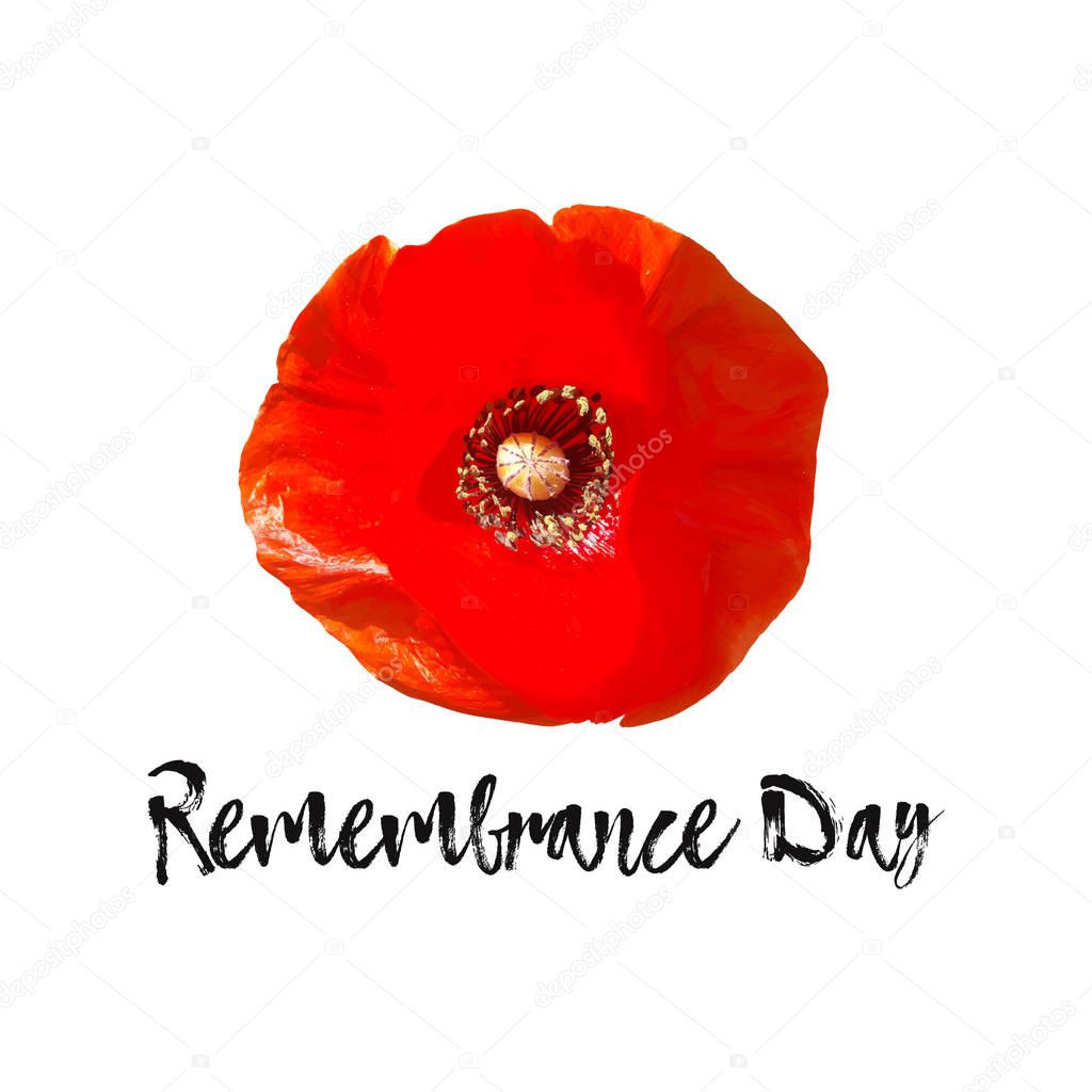 Remembrance Day vector card, banner Anzac Day.