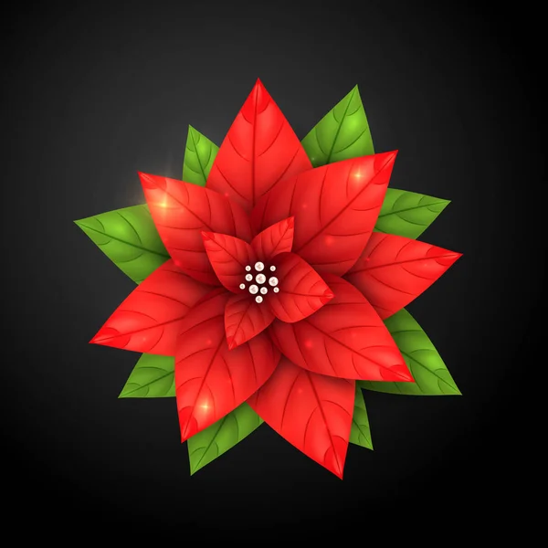 現実的なポインセチア花とパール。メリー クリスマス、クリスマスと幸せな新年の休日の背景に赤い星工場. — ストックベクタ
