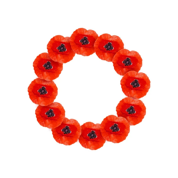 Remembrance Day Poppy krans met een plaats voor tekst. Heldere Poppy bloem symbool van vrede. Opdat we niet vergeten. — Stockvector