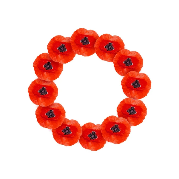 Journée du Souvenir Couronne de coquelicot avec un endroit pour le texte. Fleur de pavot brillant symbole de paix. De peur que nous oublions . — Image vectorielle