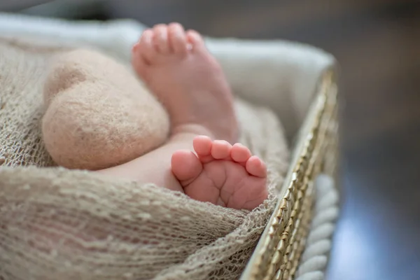 Nyfödd Baby Fötter Makro — Stockfoto