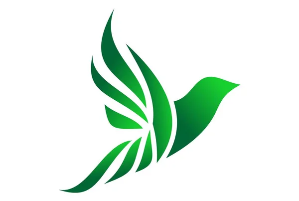 kuş logo simge yeşil kavram sinek
