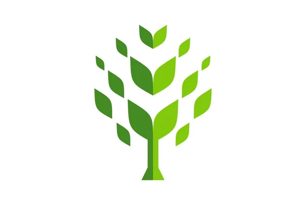 Soyut Ağaç Yeşil Kavramı Logo Simge — Stok Vektör