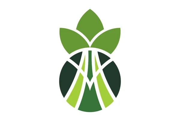 Soyut Ananas Mektup Logo Simge Vektör Kavramı Düz Tasarımı — Stok Vektör