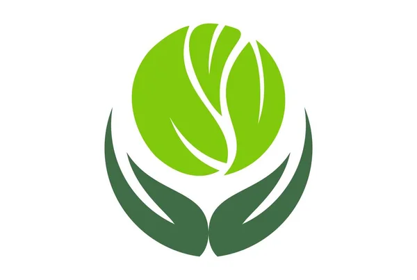Doğa Bitkisel Yeşil Orman Logo Simge Vektör Kavramı Düz Tasarımı — Stok Vektör