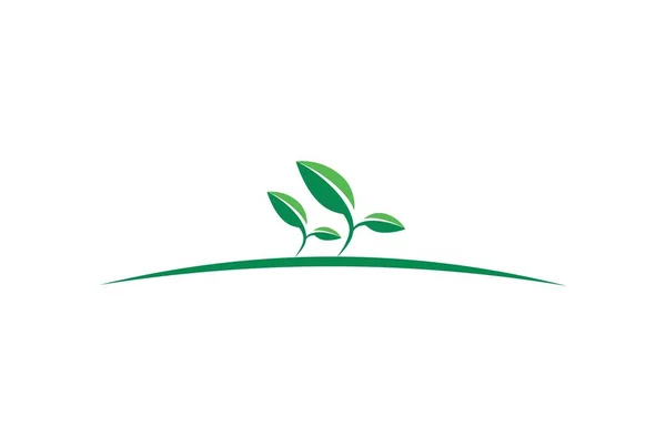 Çay Plantasyon Bahçe Logo Simge Vektör Kavramı Düz Tasarımı — Stok Vektör