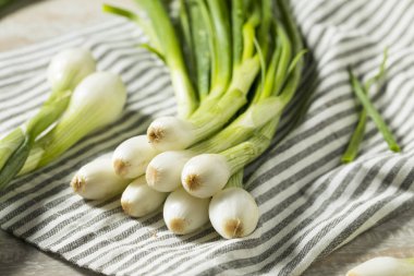 Aşçı ile ham yeşil organik taze ampul soğan hazır